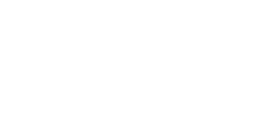 Stake Logo